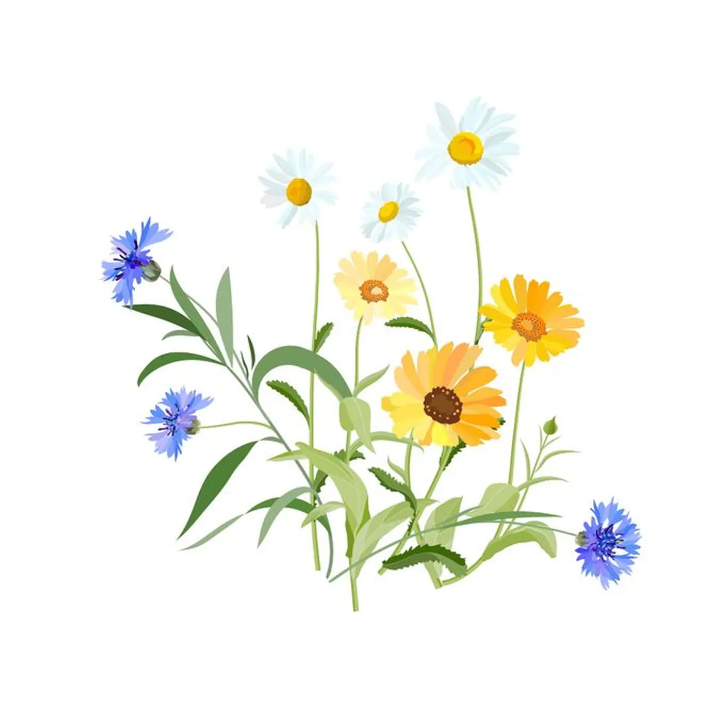 Ursula Zurborg - Blumen